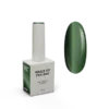 NAILSOFTHEDAY Korean cat eye 17 10ml