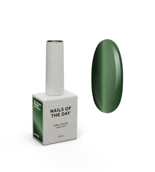NAILSOFTHEDAY Korean cat eye 17 10ml