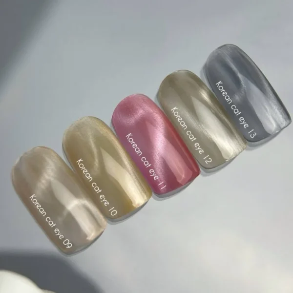 korean cat eye NAILSOFTHEDAY Korean cat eye 12 10ml