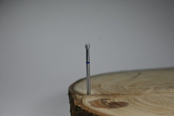 BLUE MUSHROOM CUTICLE BIT