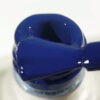 NAILSOFTHEDAY Let's special DEEPEN 10ml - Bloom kolekcija