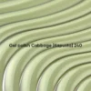 KAPUSTA NAILSOFTHEDAY Let's special CABBAGE 10ml - Borsch kolekcija